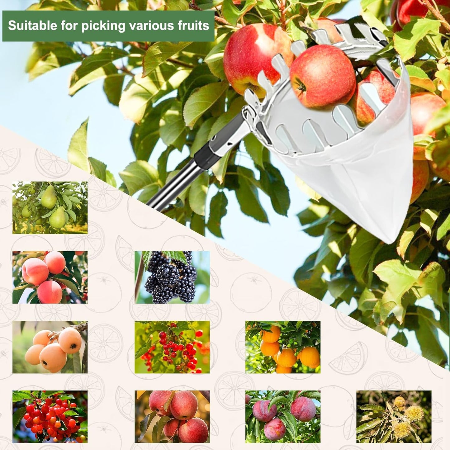 Telescopic Fruit Picker, 3.2 m Apple Picker, Detachable Fruit Picker, Garden Picking Tool for Tree Pear Peach Fruit Picker